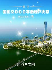 重生回2000年主角