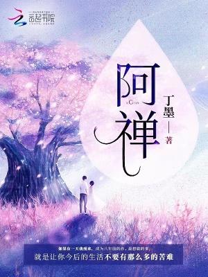 阿禅一共穿越了多少次
