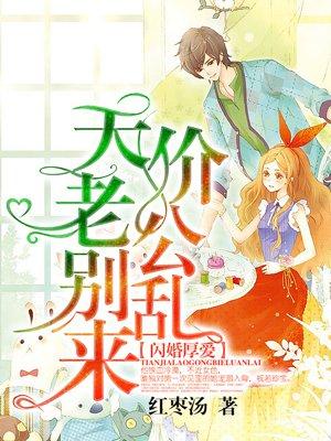 闪婚厚爱误闯天价老公