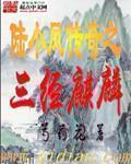 陆小凤传奇3决战前后最后皇上答应了什么