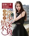 掠情夺爱琛少的心尖宠