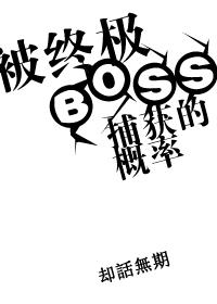 终极大boss是什么意思