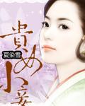 贵女小妾男主