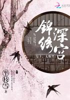 锦绣深宫夏如卿免费
