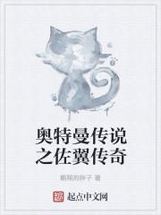 奥特曼传奇英雄老版本