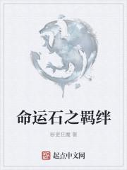 命运之石剧情