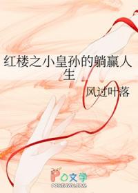 红楼之小皇叔