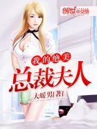 我的绝美总裁老婆