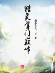 精灵掌门巅峰