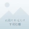 至尊掌教